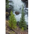 thumbnail image 2 of Jones, Adam 23x32 Black Ornate Wood Framed with Double Matting Museum Art Print Titled - Flowing water in Firehole River-Yellowstone National Park-Wyoming, 2 of 4