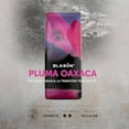thumbnail image 5 of BLAS?N CAF? DE ALTURA TOSTADO Y MOLIDO PLUMA OAXACA 340 g, 5 of 5
