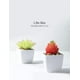 thumbnail image 3 of Paquete de 4 plantas pequeñas suculentas falsas suculentas artificiales de imitación mini suculentas de plástico en maceta para la decoración del escritorio de la sala de estar de la oficina del hogar Xemadio CZJJ-HQ69, 3 of 7
