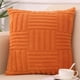 thumbnail image 1 of Funda de almohada peluda | Funda de cojín de terciopelo para sofá, sala de estar y oficina | Cojín decorativo | 45x45 cm, poliéster, soporte lumbar | 1 funda de almohada, 1 of 6