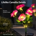 thumbnail image 5 of Rirool Solar Camellia Flower Garden Stake Lights, 7 Heads Outdoor Solar Lights Waterproof, Warm White Decorative Lights for Yard Lawn Patio Pathway, Pink 2 Pack, 5 of 8
