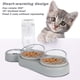 thumbnail image 2 of Juego de cuencos elevados para gatos, cuenco doble antivómitos, cuenco inclinado para gatitos, húmedo, 2 of 5