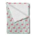 thumbnail image 2 of Dinosaur Soft Flannel Fleece Throw Blanket, Cheerful Jurassic Nursery Themed Childish Funny Dino Pattern, Cozy Plush for Indoor and Outdoor Use, 50" x 70", Pastel Pink Mint Green, by Ambesonne, 2 of 5