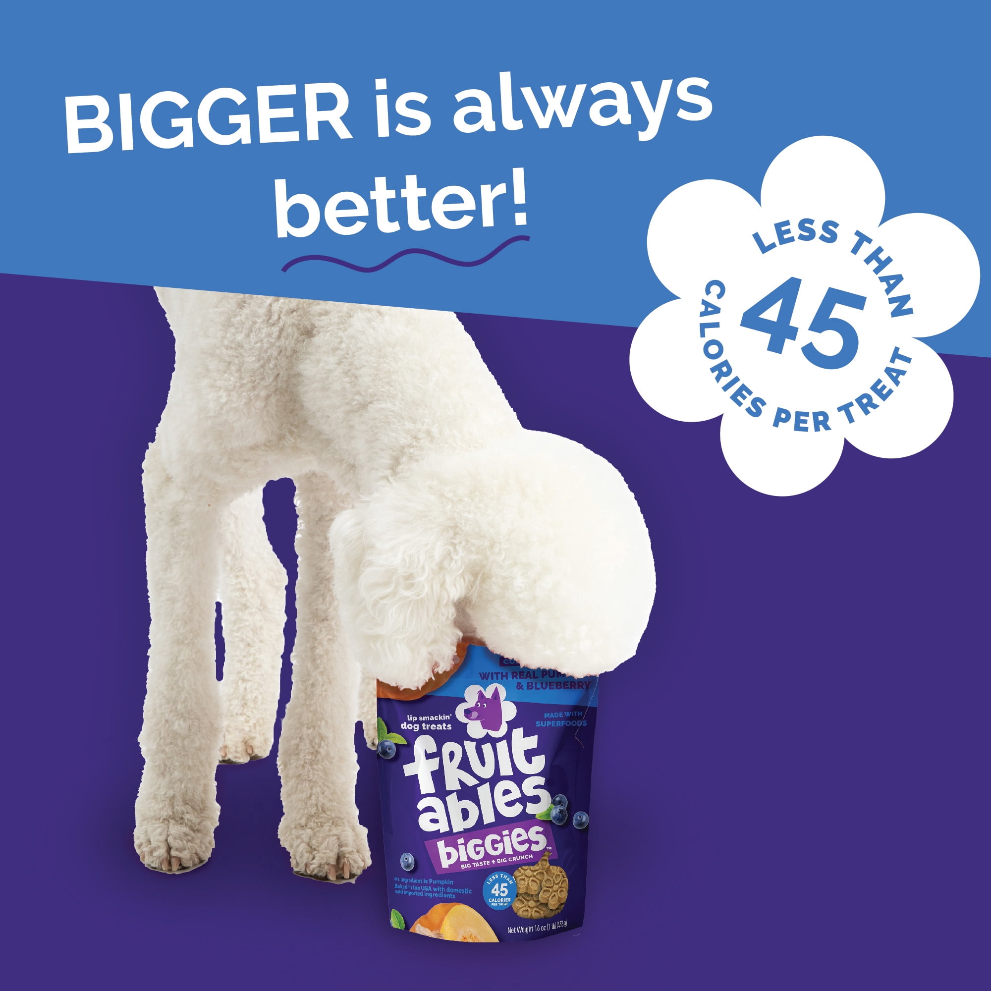 Fruitables Biggies Pumpkin & Blueberry Treats for Dogs - 16 Ounces
