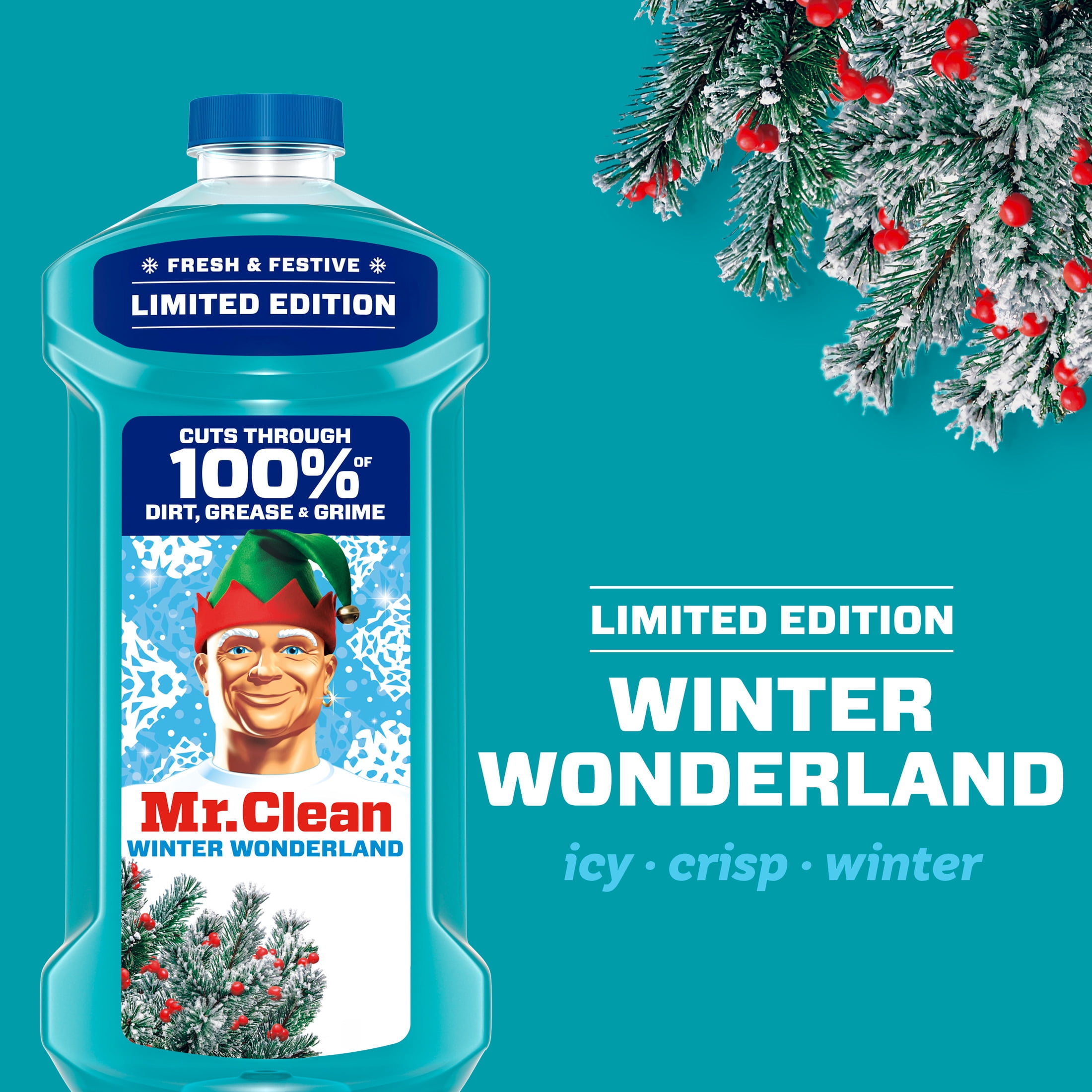 Mr. Clean All Purpose Cleaner, Floor Cleaner, Mop Soap, Cleaning Liquid, Winter Wonderland, 41 fl oz