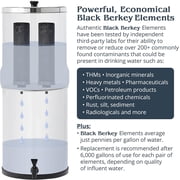 Big Berkey Water Filter System with 2 Black Berkey BB9-2 & 2 PF-2 Filters