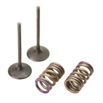 Pro X 28.SIS4336-2 Steel Intake Valve/Spring Kit
