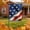 D, variant on Tepsmf American Garden Flags for Outside Small Patriotic USA Double Sided Yard Flags 4th of July Independence Day Outdoor Decor
