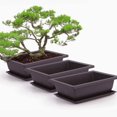 thumbnail image 3 of Typpkmm Rectangular Bonsai Training Pots with Plastic Flowerpot with Drainage, 3 of 7