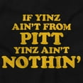 thumbnail image 2 of If Yinz Ain't From Pittsburgh PA Womens Slim Fit Graphic Tee Brisco Brands S, 2 of 5