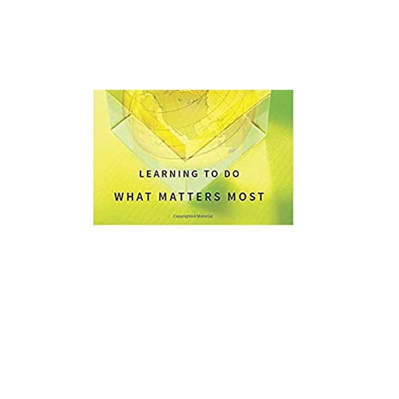 Pre-Owned Change Leader: Learning to Do What Matters Most (Hardcover) 0470582138 9780470582138