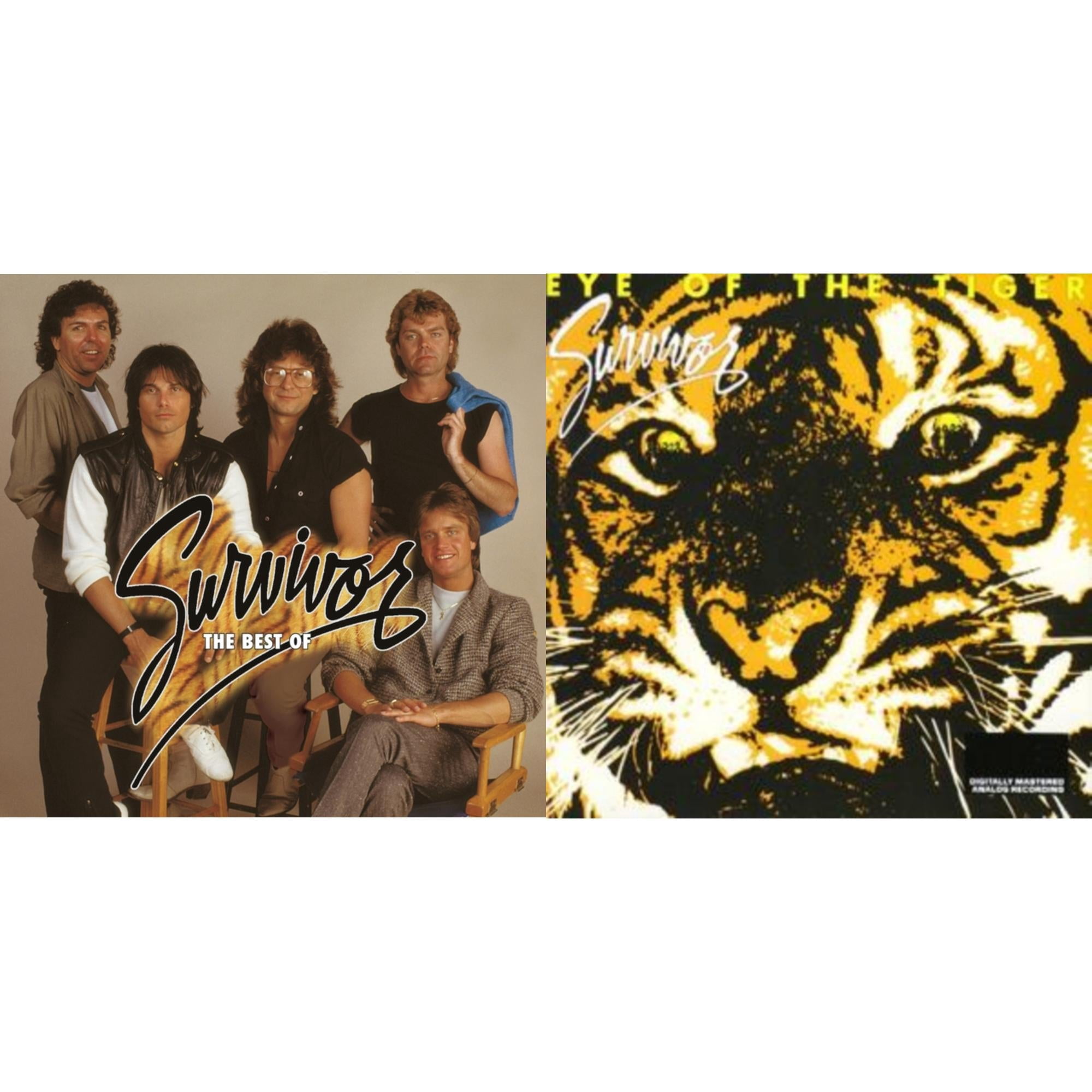 Ultimate Survivor & Best Of Survivor [CD Bundle] - Walmart.com