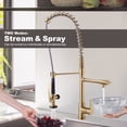thumbnail image 2 of WOWOW Commercial Kitchen Faucet with Pre-Rinse Sprayer, Brushed Brass Kitchen Sink Faucet Gold Kitchen Faucets for Restaurant, Commercial Spring Faucet 1 or 3 Hole Outdoor Faucet with Deck-plate, 2 of 8