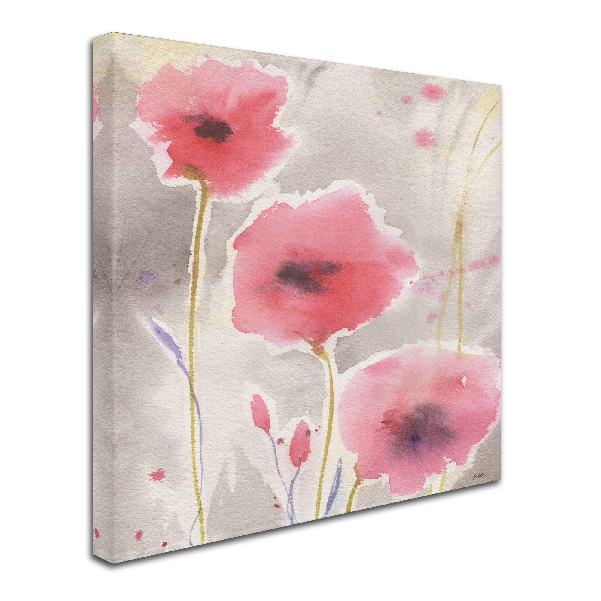 Trademark Fine Art 'After the Rain' Canvas Art by Sheila Golden