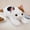 Black Cat, variant on 50Cm/19.68In New Cute Simulation Cat Plush Toy for Family Companion Sleep Pillow Soft Stuffed Animal Throw Pillow Simulation British Shorthair Cat Toys Gifts for Family And Friends (Not Animal Fur)