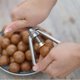 thumbnail image 5 of Sywqhk Pelador Manual de Clip de nuez de Metal, pelador de nueces de cocina, accesorio para abrelatas de frutas secas Sywqhk Para estrenar, 5 of 9