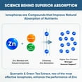 thumbnail image 4 of Sandhu's BioZnQ, 900mg of Quercetin & Green Tea Extract with 22mg of Zinc, Immune Support, 90 Ct, 4 of 8