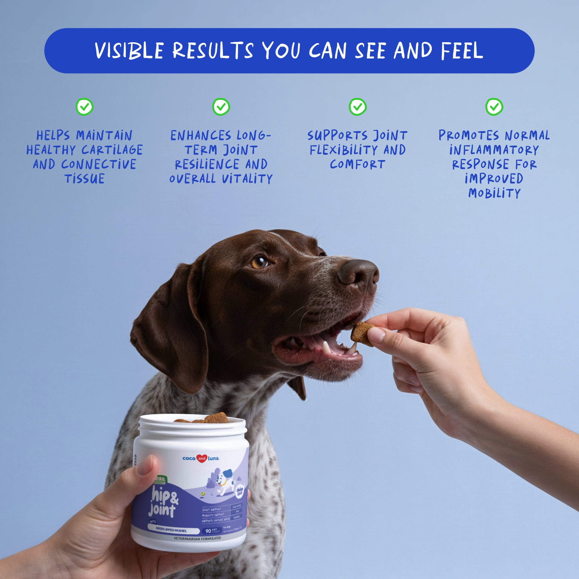 Coco and Luna Hip & Joint Supplement for Dogs - 90 Soft Chews - with Green Lipped Mussel, Glucosamine, Turmeric, Fish Oil, MSM and Yucca Schidigera (Soft Chews)