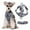 Gray, variant on HHBEAUTY Summer Cat and Small Dog Chest Harness and Leash, Anti-Escape Adjustable Soft Mesh Cat Leash and Chest Harness Set for All Types of Cats Cat Vests, Hot Pink