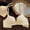 #34Beige, variant on Byworldtasic Women Seamless Push‑Up Bra Wireless Texture Comfort Bra Adjustable Straps Back Closure Everyday Bralette