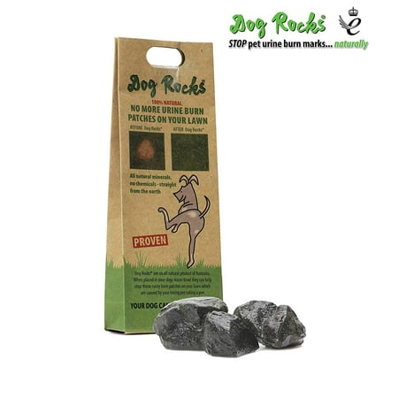 - 100% Natural Grass Burn Prevention - Prevents Lawn Urine Stains - Small Bag - 2 Month Supply, WHAT ARE DOG ROCKS - Dog Rocks are made from naturally occurring.., By Dog (Best Grass Seed For Dog Urine Spots)