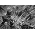 thumbnail image 2 of Amihai, Ilan 14x11 Gold Ornate Wood Framed with Double Matting Museum Art Print Titled - in to the mood, 2 of 4
