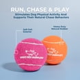 thumbnail image 4 of Squeaky Tennis Toys, los mejores suministros para mascotas para perros, paquete de 4 unidades, 4 of 8