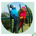 1pcs Foam Birds Birds Home Jewelry Photography Props Photo Booth Frame
