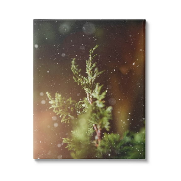 Winter Snowfall Night Pine Tree Holiday Photograph Gallery Wrapped Canvas Print Wall Art