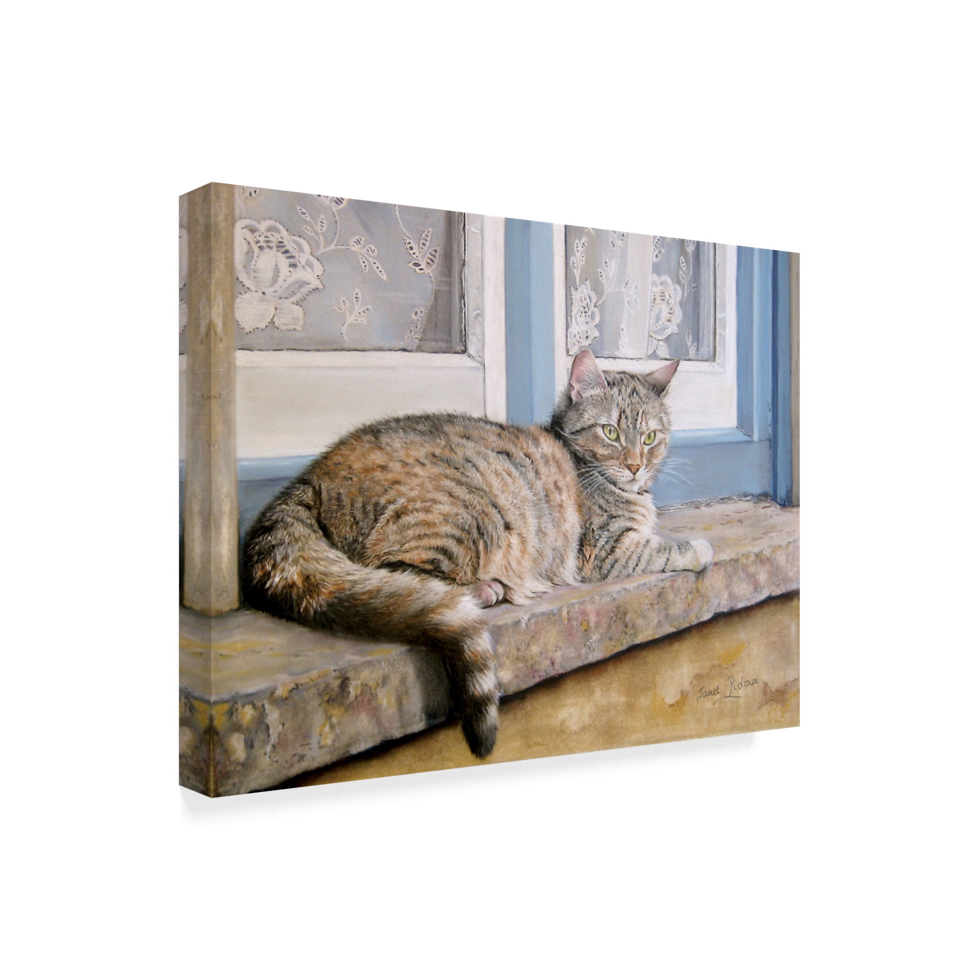 Trademark Fine Art 'Windowsill' Canvas Art by Janet Pidoux