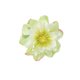 thumbnail image 2 of Flores Artificiales De Tela Paquete de 10 cabezas de flores de seda verde,flores artificiales realistas para manualidades y decoración del hogar. Rkxzt, 2 of 9