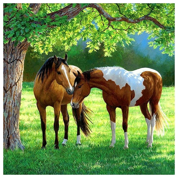 Cuadros Decorativos 5D Caballo en Prairie Kit Full Square Drill Rhinestone DIY Diamond Painting Craft Likrtyny embutido en tela