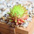 thumbnail image 3 of Funie Artificial Succulent Lifelike Exquisite PVC Easy Care Artificial Echeveria for Home, 3 of 7