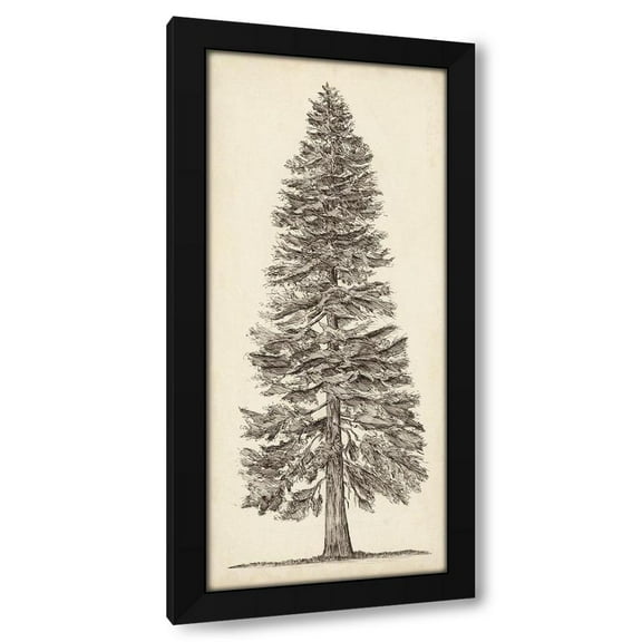 Melissa Wang 8x14 Black Modern Wood Framed Wall Art Titled - Pacific Northwest Tree Sketch I