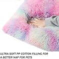 thumbnail image 2 of Exclusivo Mezcla Soft Plush Dog Bed Crate Mat for Small Dogs (26*20*4 in), Faux Fur Fluffy Dog Pet Cat Kennel Pad with Anti-Slip Bottom, Machine Washable, Rainbow, 2 of 6