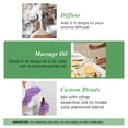 thumbnail image 5 of Handcraft Blends Tea Tree Essential Oil - Huge 4 Fl Oz - 100% Pure and Natural - Premium Grade with Glass Dropper, 5 of 7