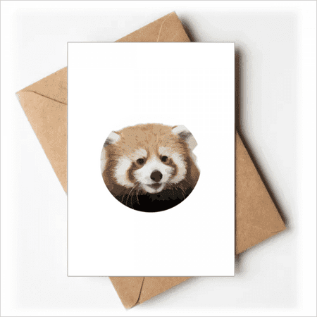 Brown Jungle Civet Cats Lovely Little Greeting Cards You are Invited Invitations