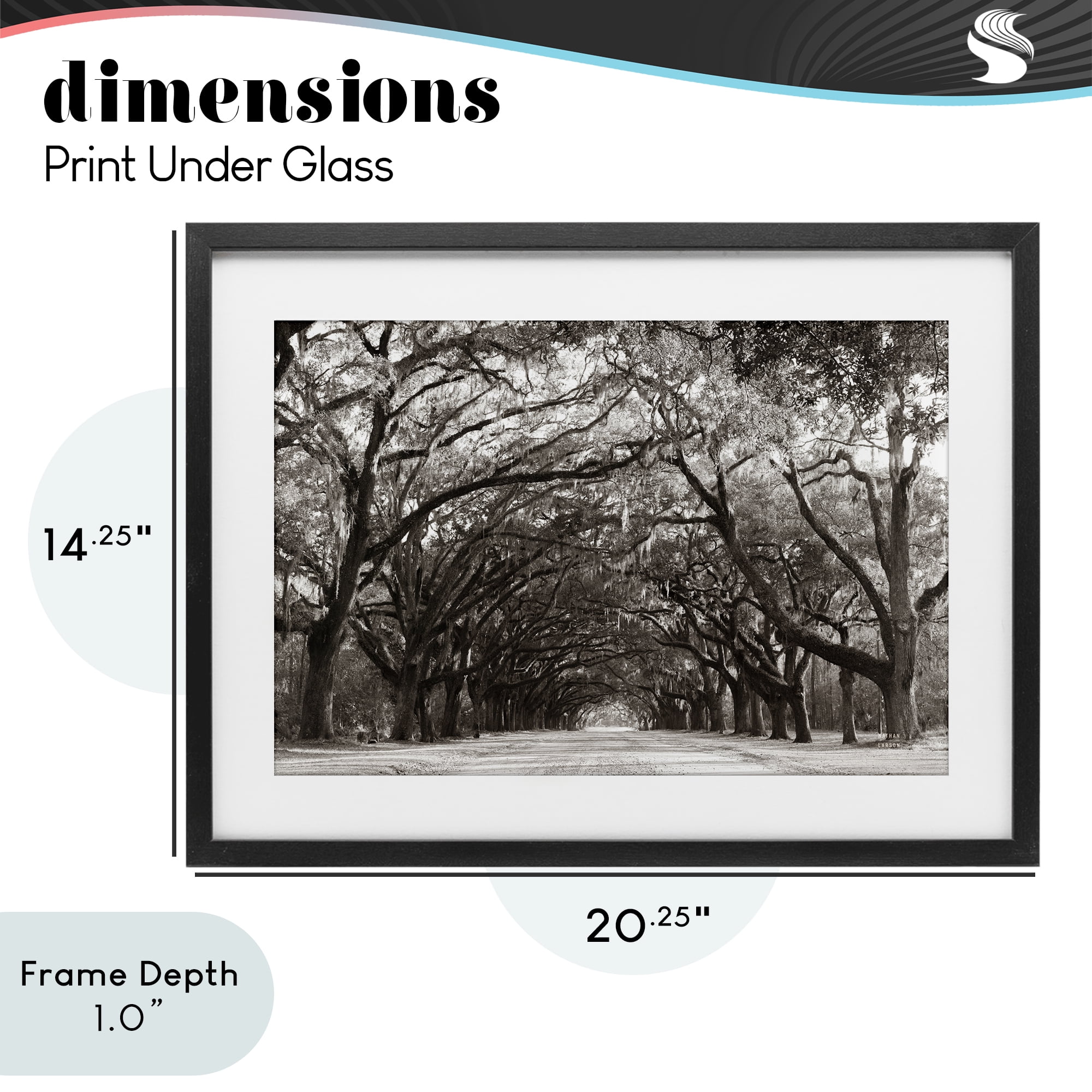 Stupell Industries Georgia Stroll Tree Tunnel Black Framed Print Under Glass, design by Nathan Larson