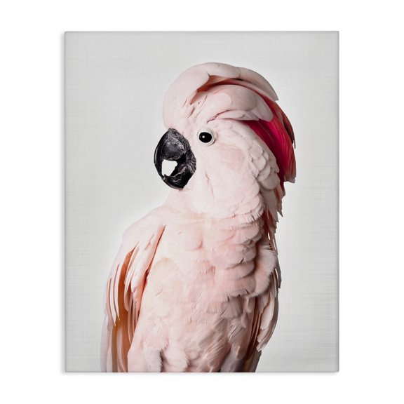 Stupell Industries Tropical Pink Cockatoo Photography Canvas Art, 16 x 20, by Sisi and Seb