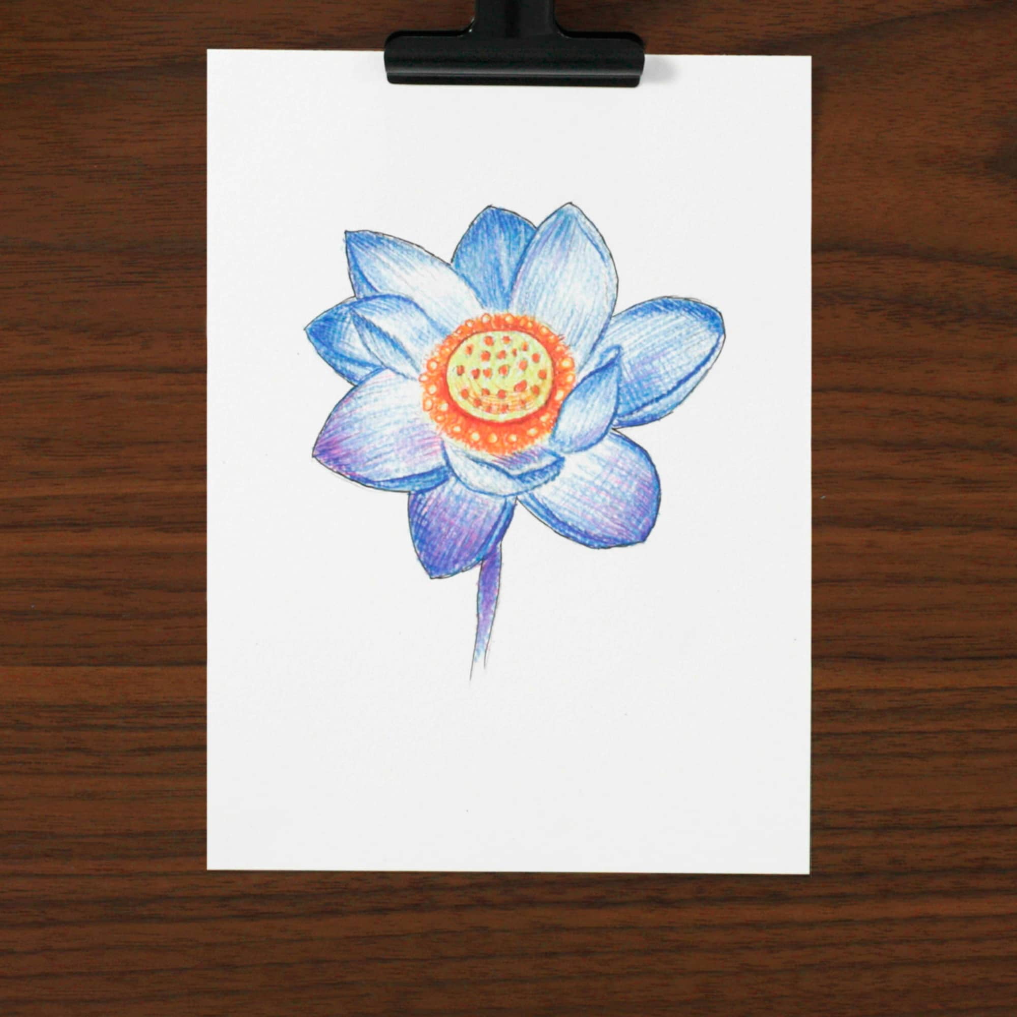 Prismacolor Technique, Art Supplies and Digital Art Lessons, Nature Drawing Set, Level 1, Learn to Draw with Colored Pencils, Graphite Pencils, and More, Flower Drawing, 26 Count