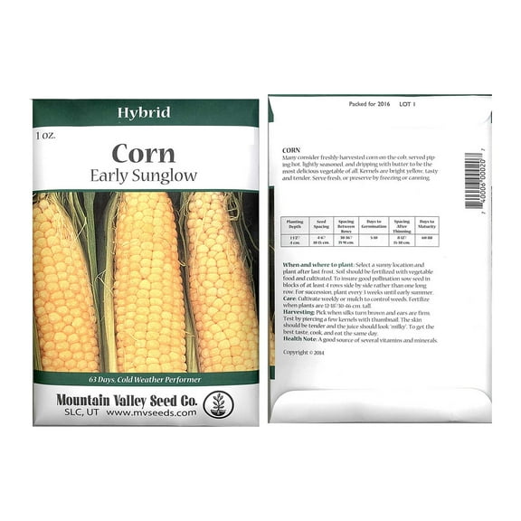 Early Sunglow Hybrid Corn Garden Seeds - 1 Oz Packet - Non-GMO, SU, Cold Weather Vegetable Gardening Seeds