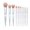 Multicolor, variant on 10 Piece Transparent Makeup Brush Set Conical Handle For Application