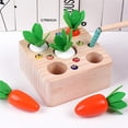 thumbnail image 4 of Zanahoria Niños Juguetes De Madera Montessori Atrapa Gusano Pesca Tamaño Cognición Forma Juego De Zanahoria A Juego Bebé Educación Temprana Juguete Yuarrent FN002262-00, 4 of 6