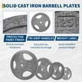 thumbnail image 3 of BeesClover Cast Iron Weight Plates Set 1 Inch, 10 Lbs Bumper Plates for Home Gym, Strength Training & Weightlifting, 4pcs, 3 of 7