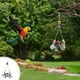 thumbnail image 3 of KAKOWELY Escalera de escalada para loros, juguete con campana colgante para pájaros, suministros para entrenamiento de loros, 3 of 5