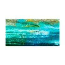 Trademark Fine Art 'Tantra II' Canvas Art by John Butler