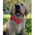 thumbnail image 5 of Cutie Ties Dog Bow Tie, 5 of 6