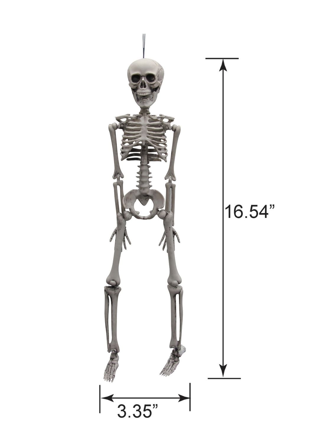 WAY TO CELEBRATE SQUELETTE - COULEUR OS