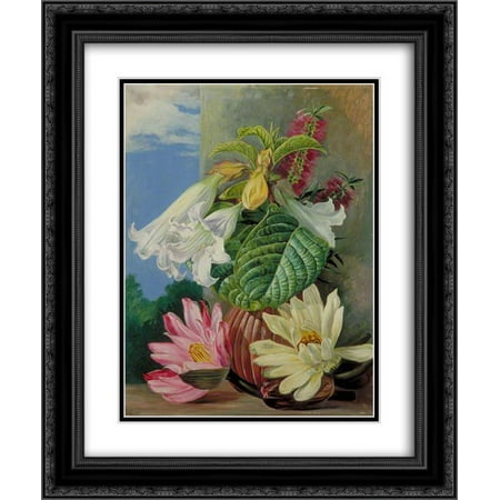 Marianne North 2x Matted 20x24 Black Ornate Framed Art Print 'Flowers Cultivated in the Botanic Garden, Rio Janeiro, Brazil'