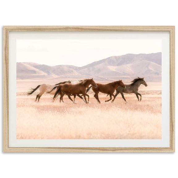 Wild Mustang Horse Photography Wall Art Home Decor